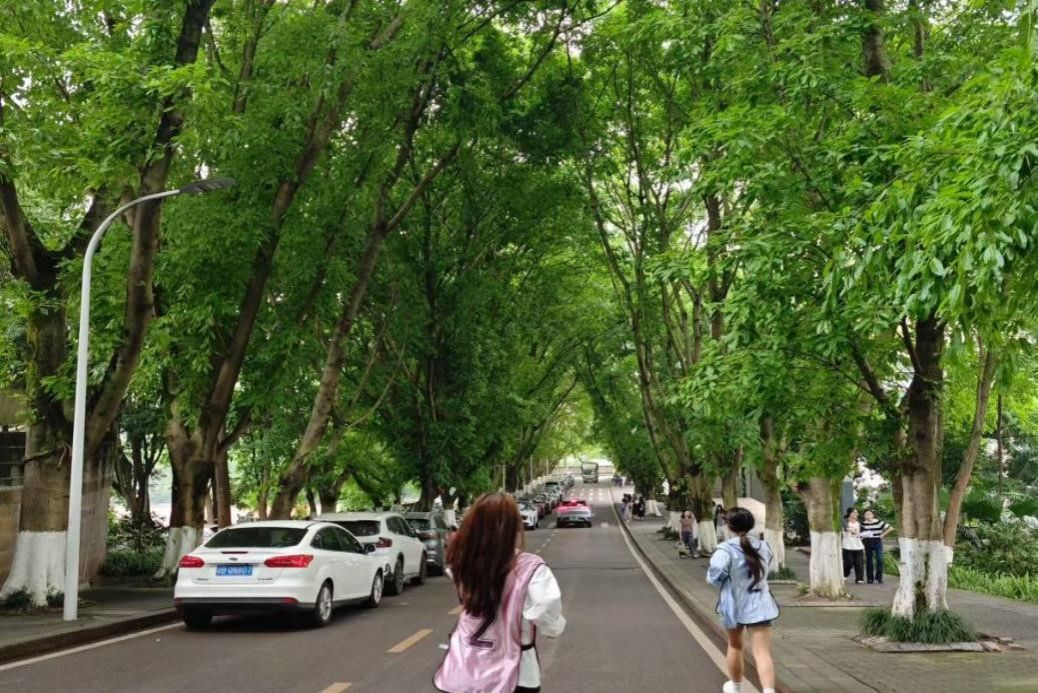 5月16日beat365官方网站开展第十三届“筑梦启航”体育文化节定向越野竞赛圆满收官 原图2.jpg